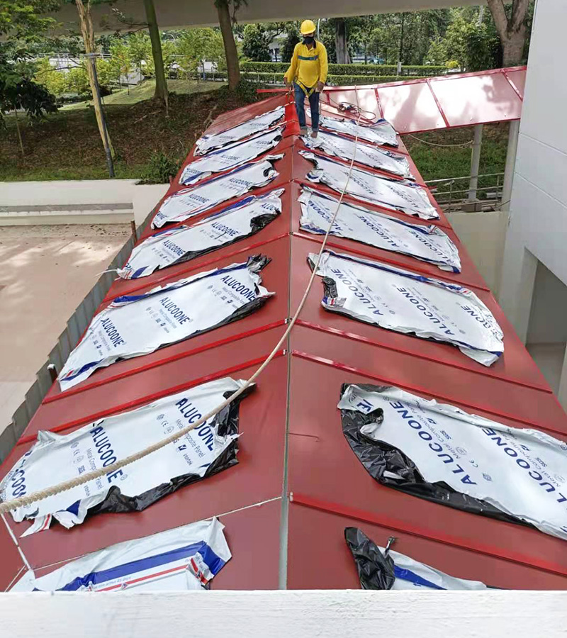 新加坡走廊项目（3）